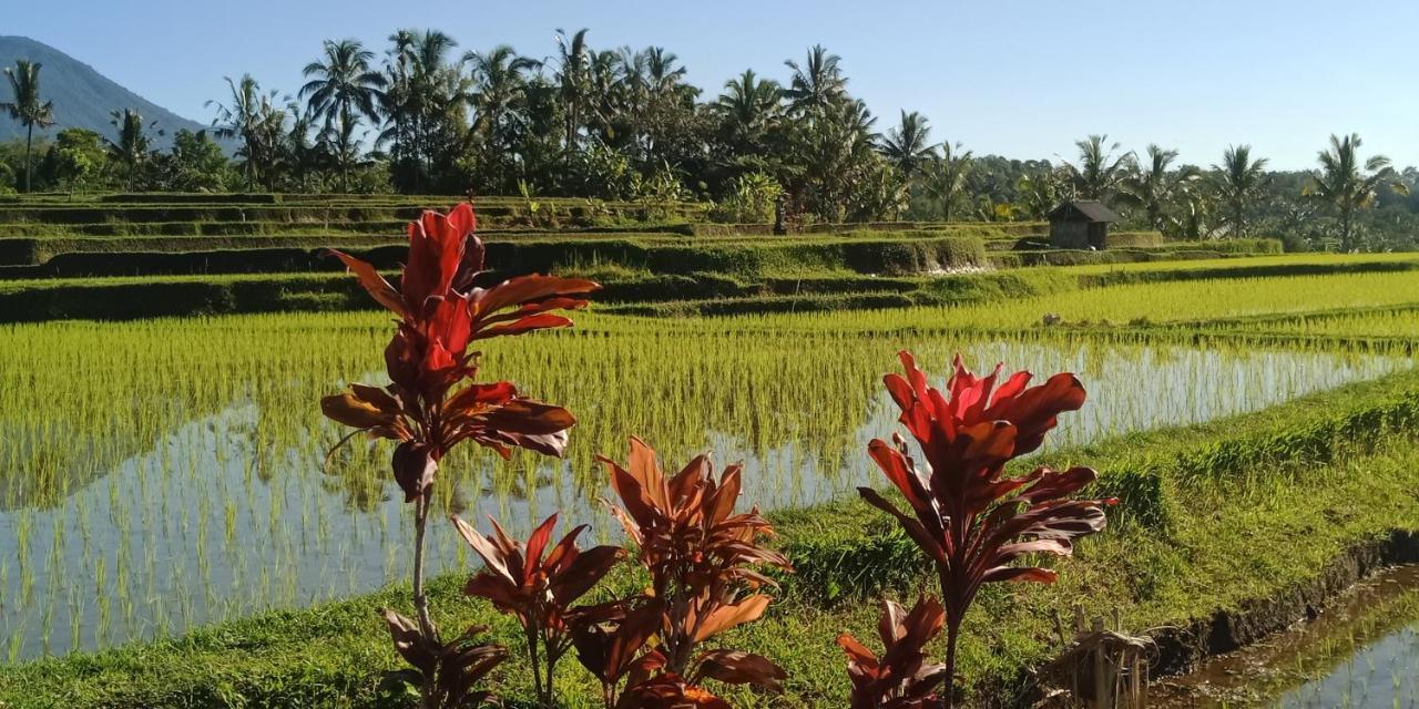 Ibu Ana Homestay Tabanan  Bagian luar foto
