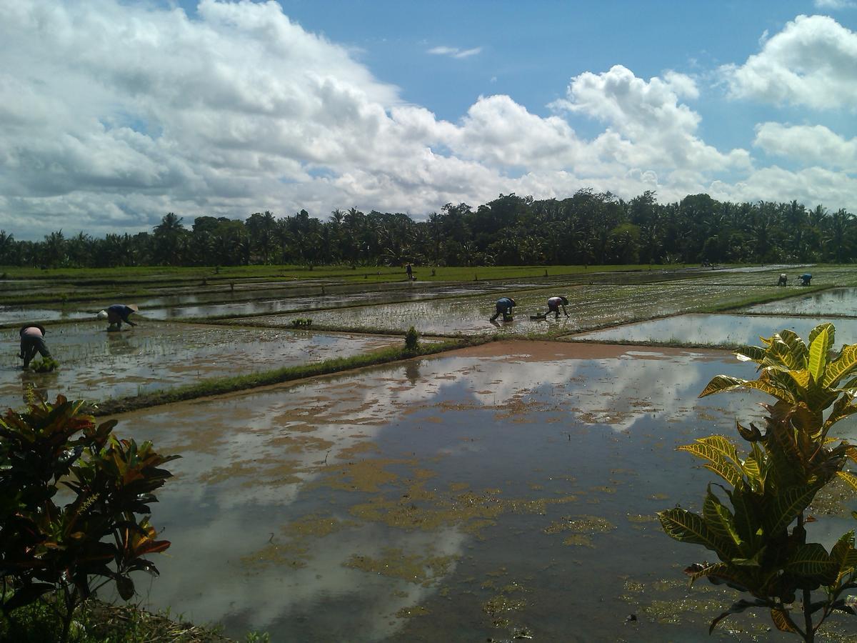 Ibu Ana Homestay Tabanan  Bagian luar foto